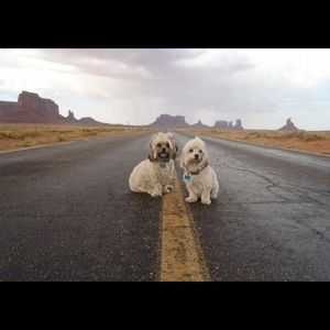 Meet your Posher, Alicia