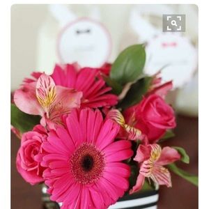 Meet your Posher, Lorraine