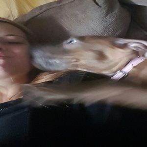 Meet your Posher, Korinna