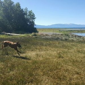 Meet your Posher, Shira