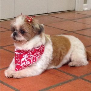 Meet your Posher, Barbara