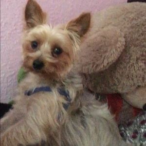 Meet your Posher, Caitlin