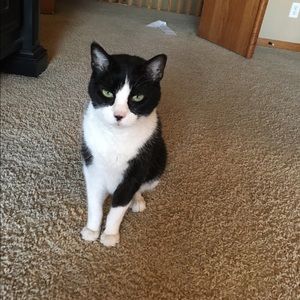 Meet your Posher, Lora