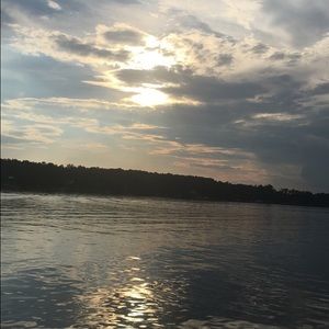 Meet your Posher, Lily