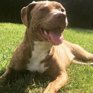 Meet your Posher, Danyelle