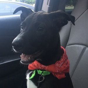 Meet your Posher, Martha