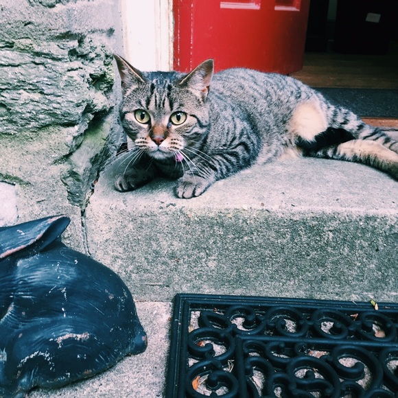 Meet your Posher, Courtney