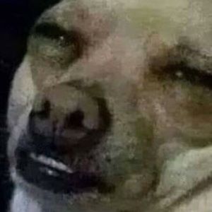 Meet your Posher, Lilly