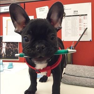 Meet your Posher, Kathryn