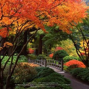 Meet your Posher, Sandy