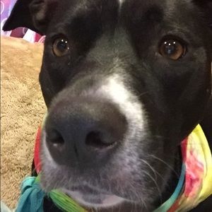 Meet your Posher, Chelsea