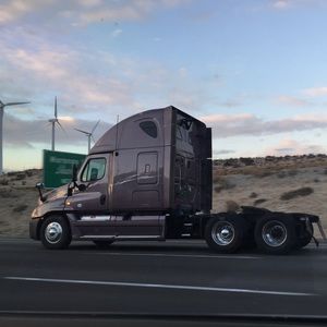 Meet your Posher, Daisy