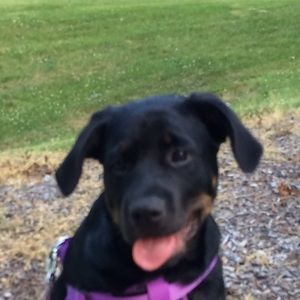 Meet your Posher, Terri