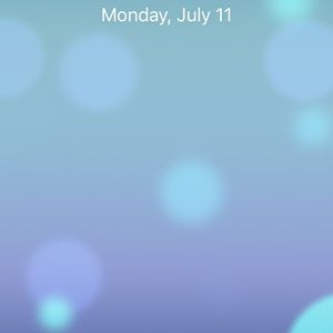 Meet your Posher, Morgan