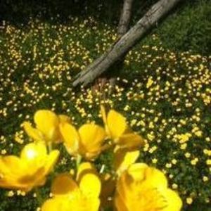 Meet your Posher, Lynn