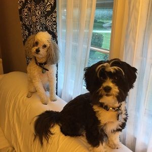 Meet your Posher, Donna