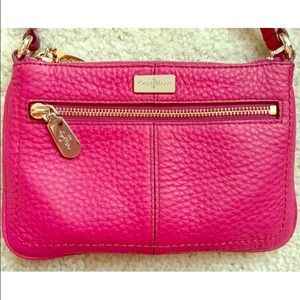Cole Haann village leather mini crossbody