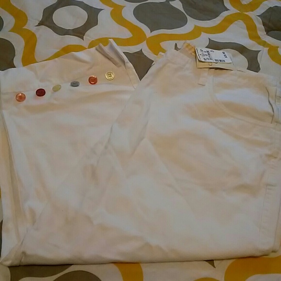 Christopher & Banks capri