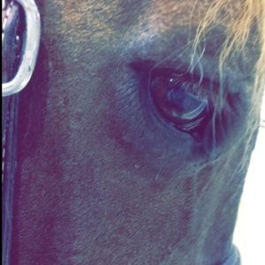 Meet your Posher, Shelby