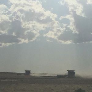 Meet your Posher, Jodene