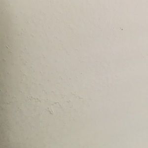 Meet your Posher, Carlos