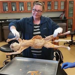 Meet your Posher, Theresa