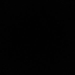 Meet your Posher, Shania