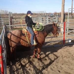 Meet your Posher, Alex