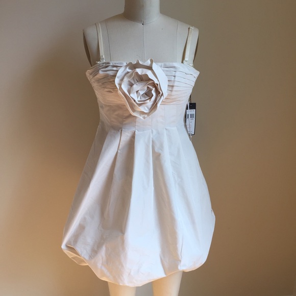 NWT Wear Two Ways BCBG Dress