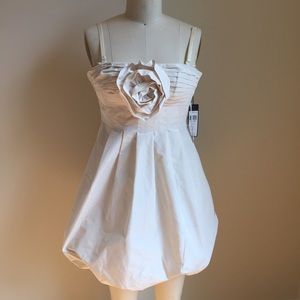 NWT Wear Two Ways BCBG Dress