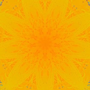 Meet your Posher, Tori