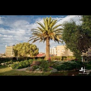 Meet your Posher, Kisanet