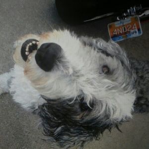 Meet your Posher, Emma