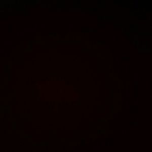 Meet your Posher, Kailey