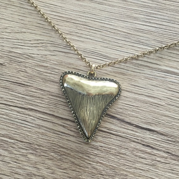 Lucky brand long chain necklace