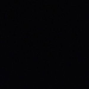 Meet your Posher, Bella