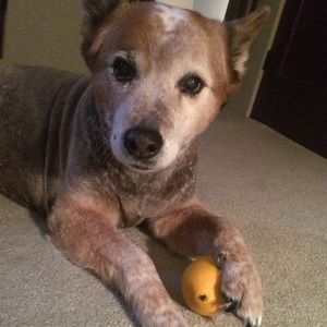 Meet your Posher, Brenda