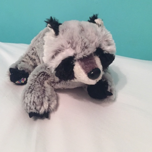 Raccoon Webkinz