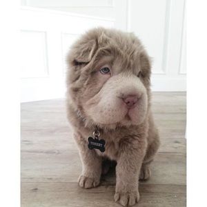 Meet your Posher, Jay