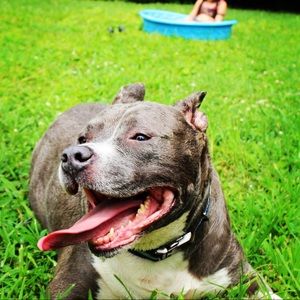 Meet your Posher, Rachael