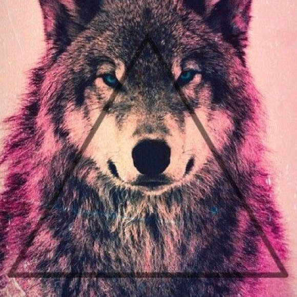 Meet your Posher, Medeana - Picture 1 of 1