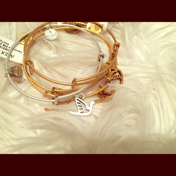 NWT Alex and Ani: Dove