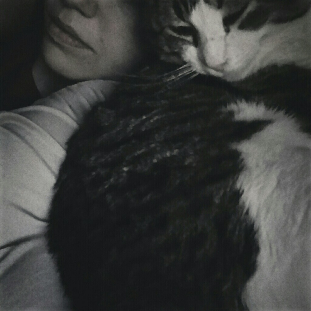 Meet Your Posher 🐱