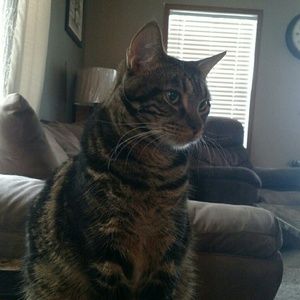 Meet your Posher, Melissa