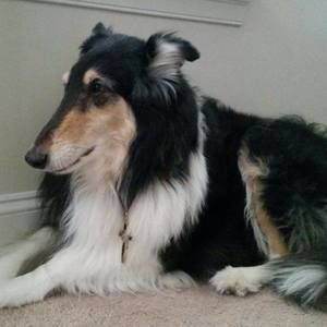 Meet your Posher, Alison