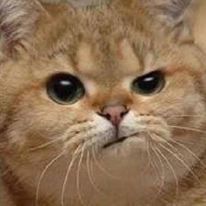 Meet your Posher, Robyn