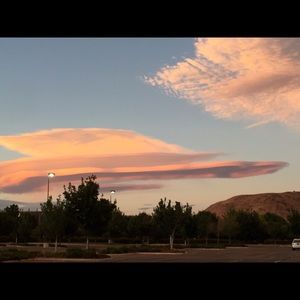 Meet your Posher, Janie