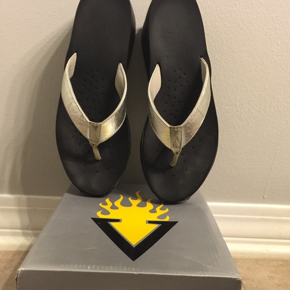 Volatiles