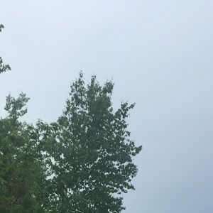 Meet your Posher, Mallory