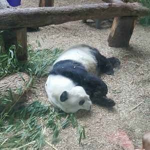 Meet your Posher, Alicia